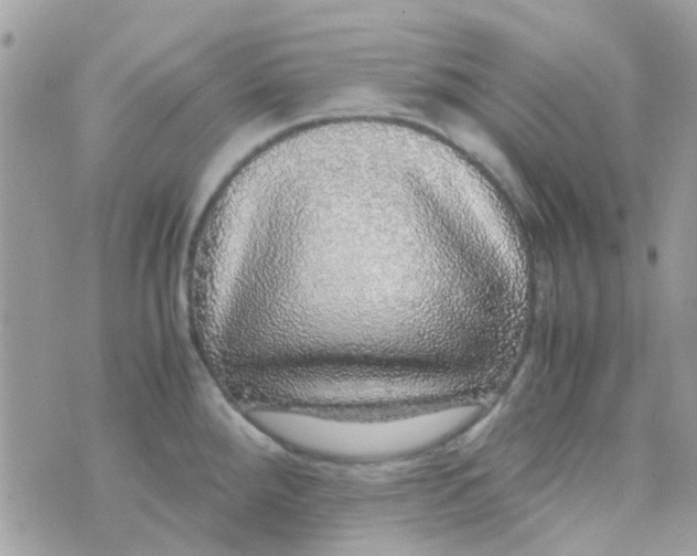 X0000070411288200606302027