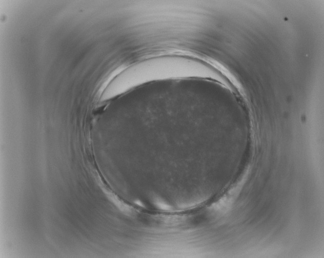 X0000070411289200606302027