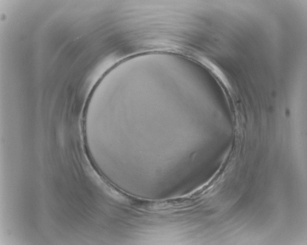 X0000070411291200606302027