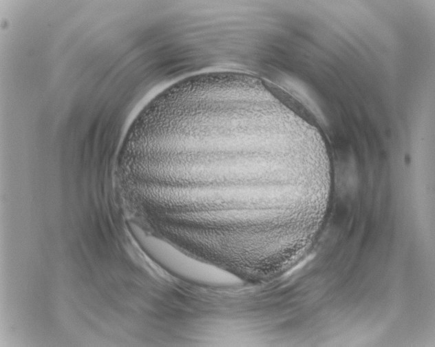 X0000070411292200606302027