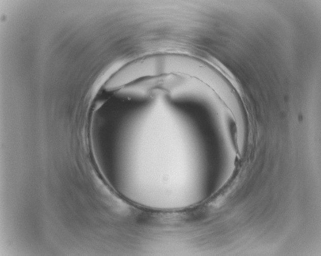 X0000070411293200606302027