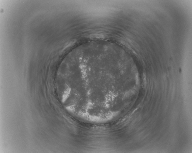 X0000070411297200606302026