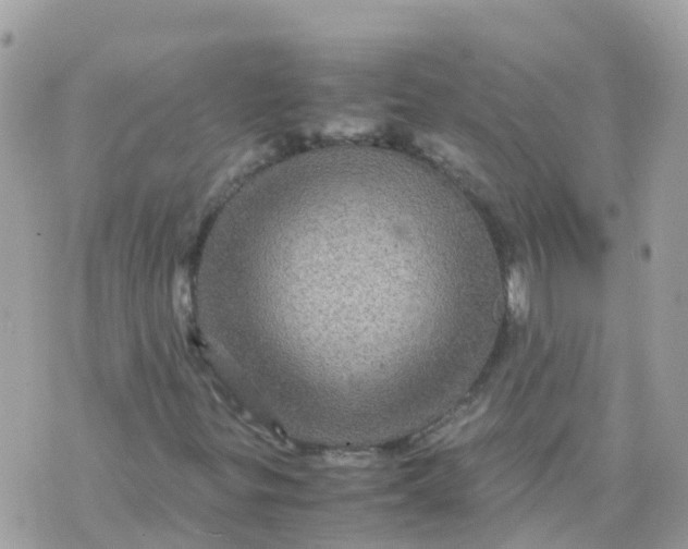 X0000070411299200606302026