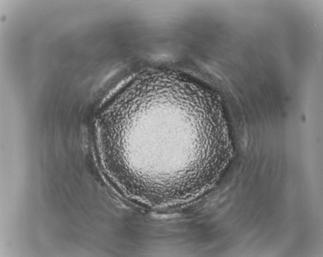 X0000070411301200606302026