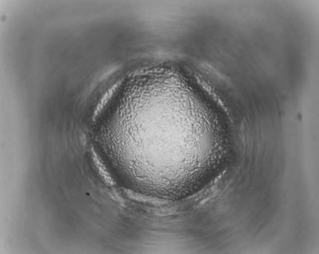 X0000070411302200606302026