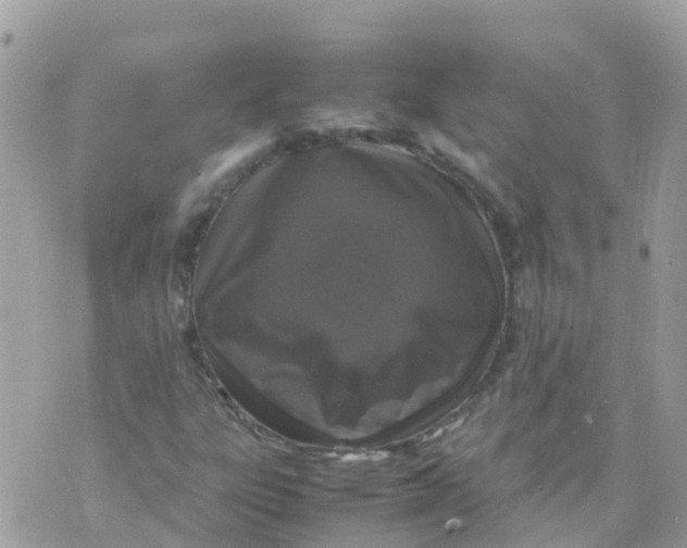 X0000070411303200606302026