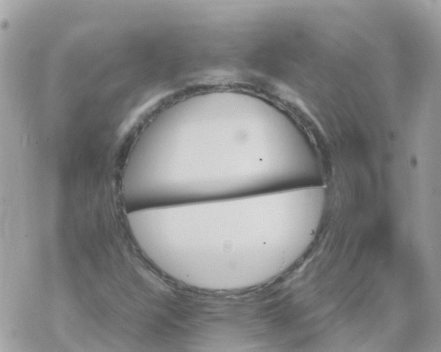 X0000070411304200606302026