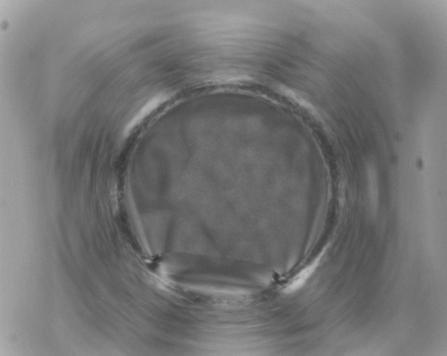 X0000070411306200606302026