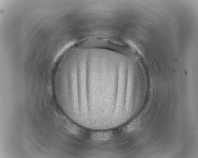 X0000070411307200606302026