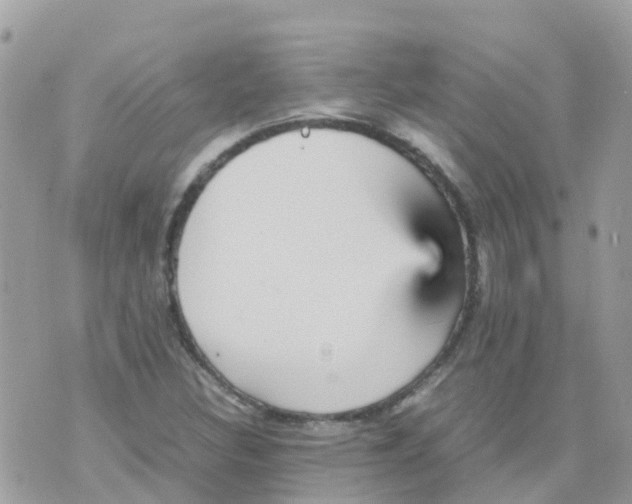 X0000070411308200606302026