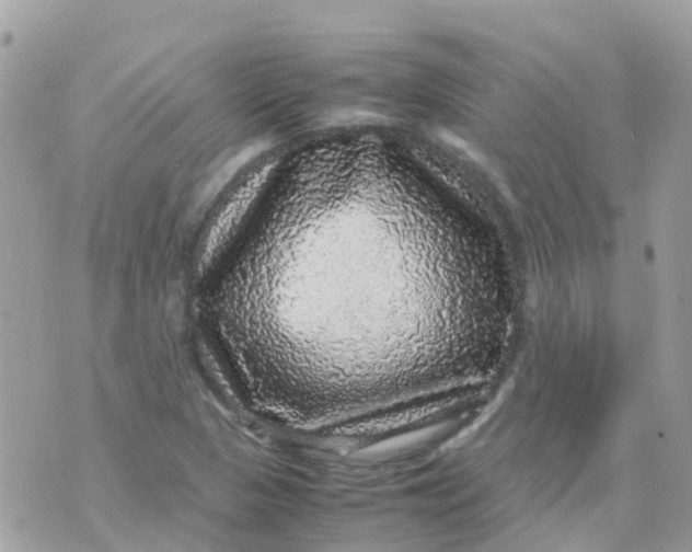 X0000070411313200606302026