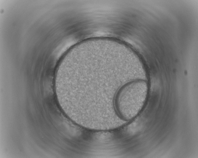 X0000070411314200606302026