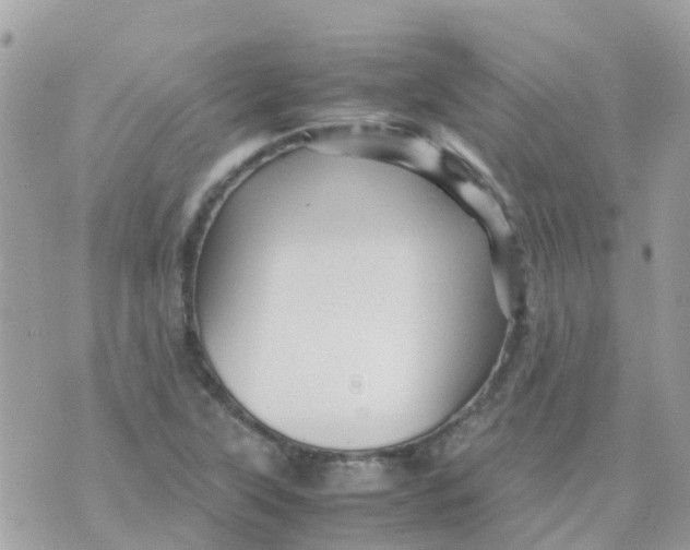 X0000070411315200606302026