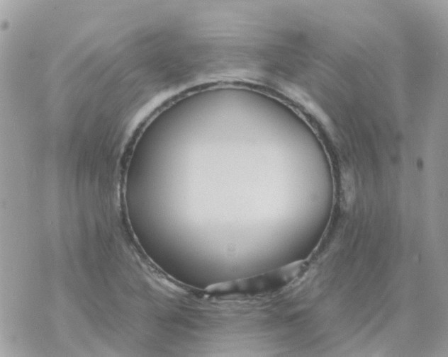 X0000070411316200606302026