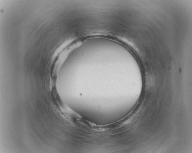 X0000070411317200606302026