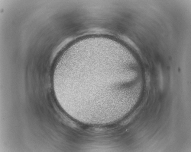 X0000070411318200606302026