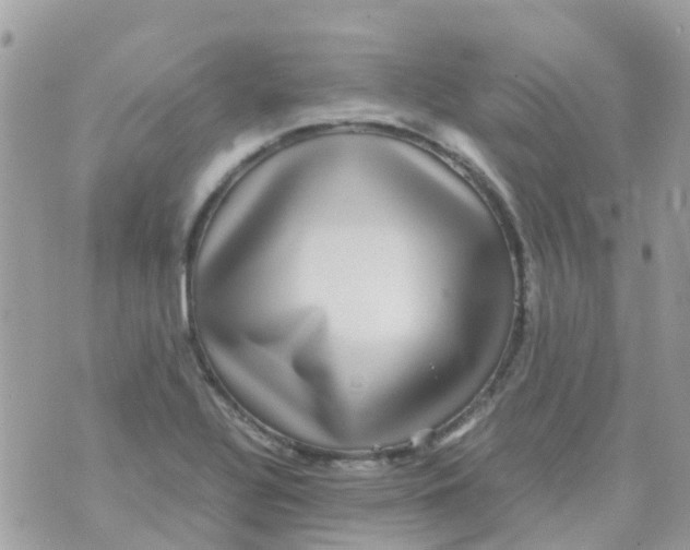 X0000070411320200606302026