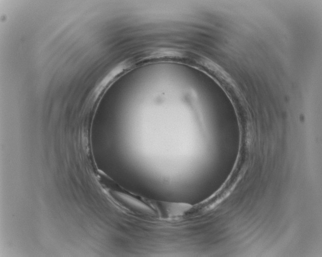 X0000070411321200606302026