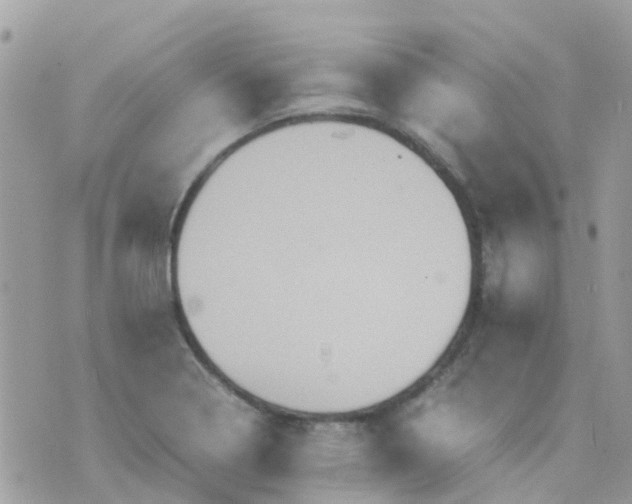 X0000070411322200606302026