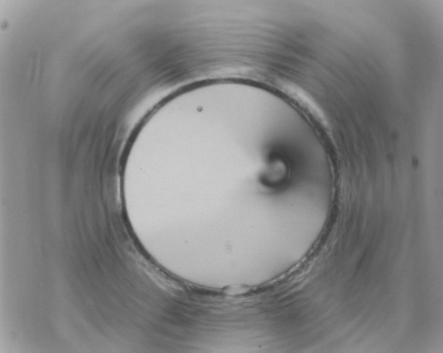 X0000070411324200606302026