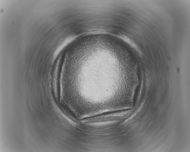 X0000070411325200606302026