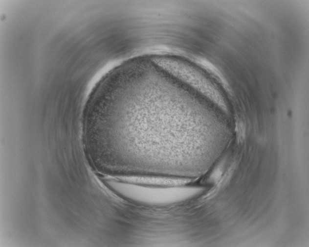 X0000070411326200606302026