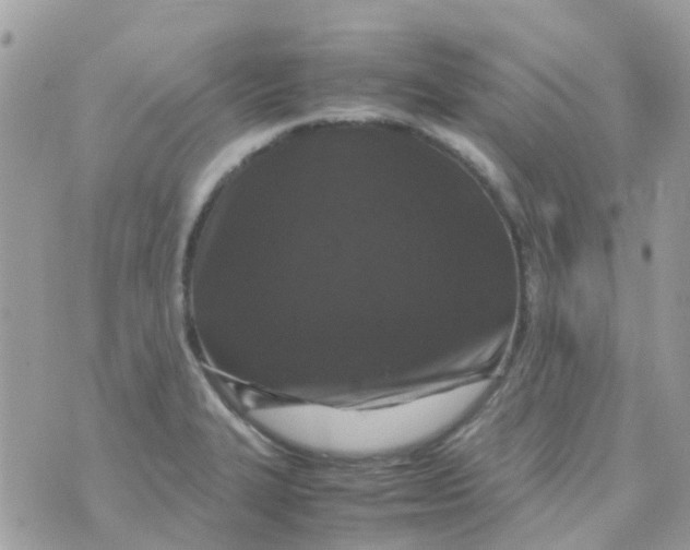 X0000070411327200606302026