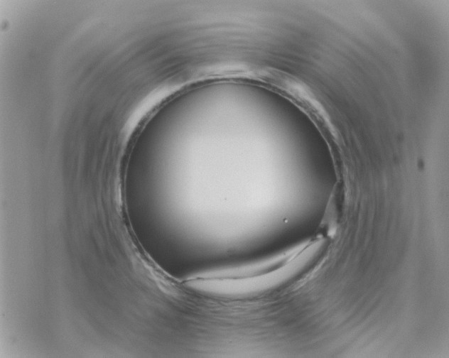 X0000070411328200606302026