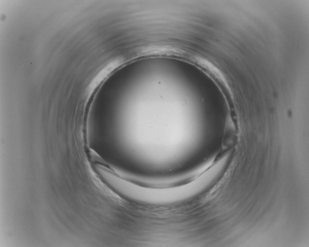 X0000070411330200606302026