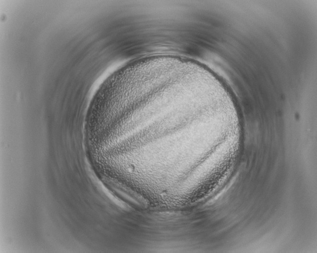 X0000070411333200606302027