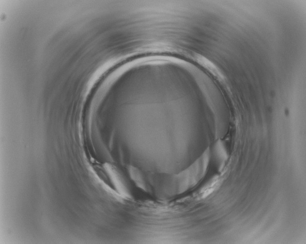 X0000070411334200606302027