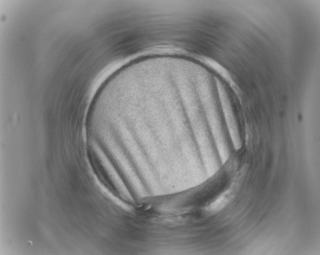 X0000070411335200606302027