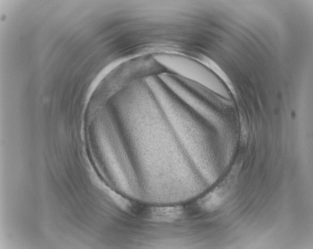 X0000070411339200606302027