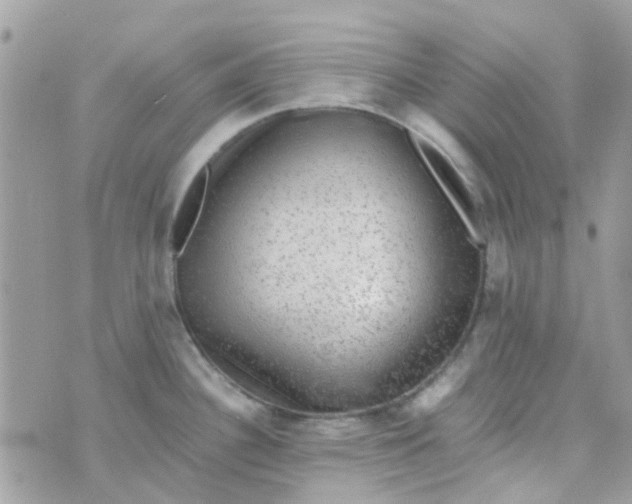 X0000070411340200606302027