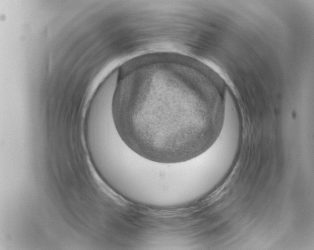 X0000070411342200606302027