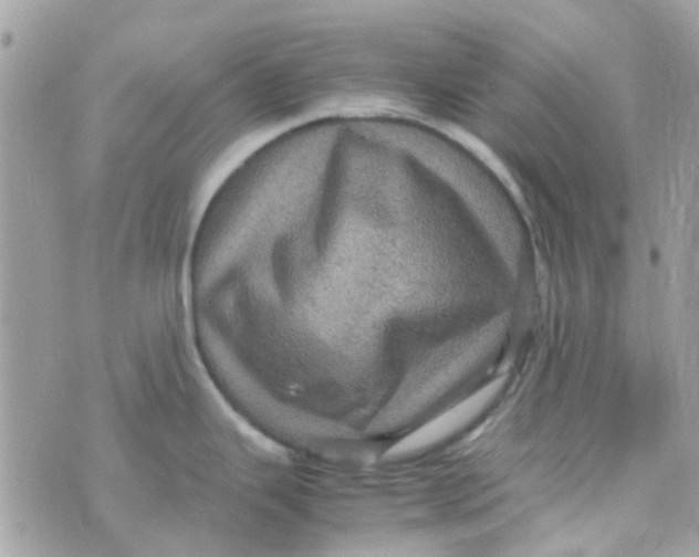 X0000070411343200606302027