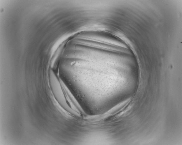 X0000070411344200606302027