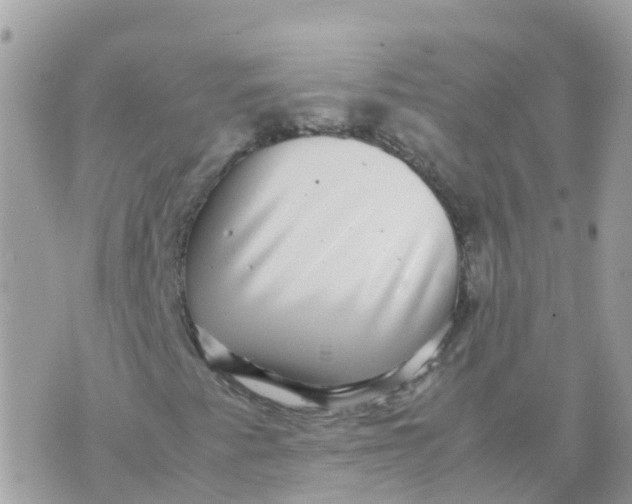 X0000070411345200606302026