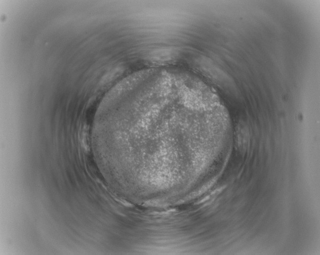 X0000070411346200606302026