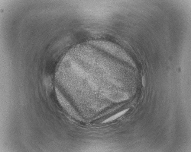 X0000070411347200606302026