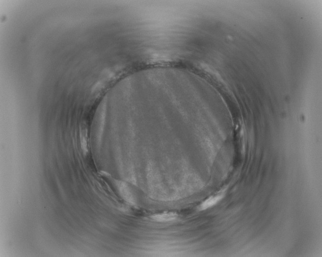 X0000070411348200606302026