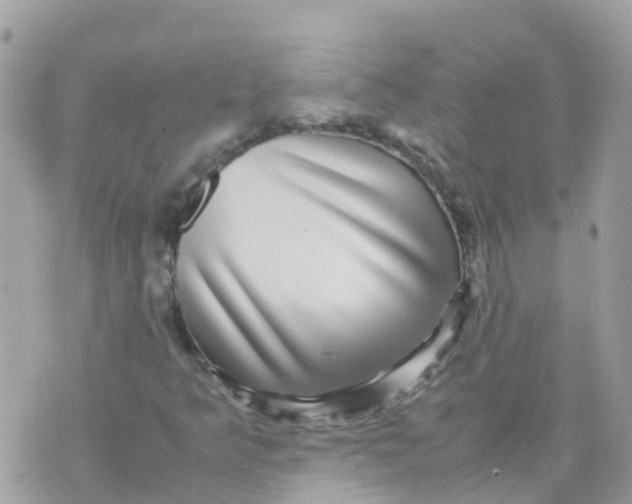 X0000070411349200606302026