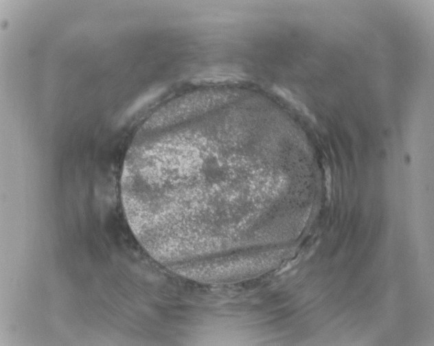 X0000070411350200606302026