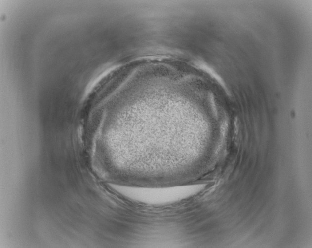 X0000070411352200606302026