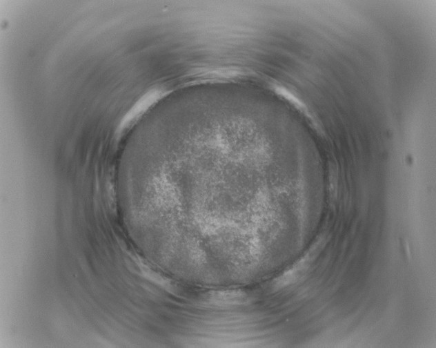 X0000070411354200606302026