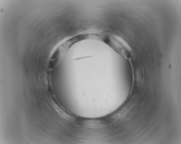 X0000070411356200606302026