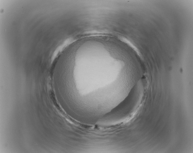 X0000070411357200606302026