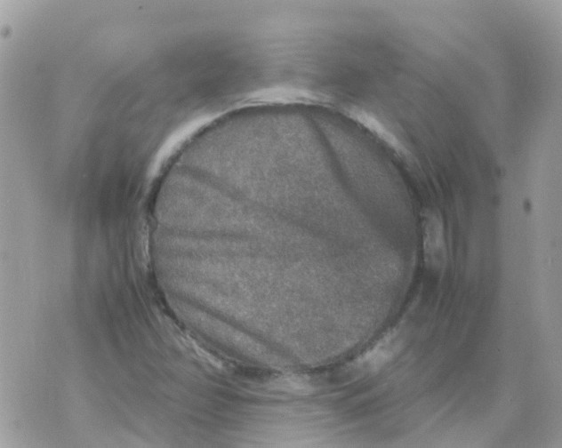 X0000070411358200606302026