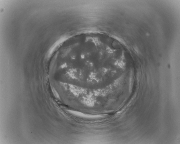 X0000070411359200606302026