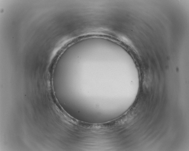 X0000070411360200606302026